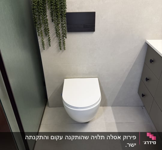 אסלה תלויה על קיר
